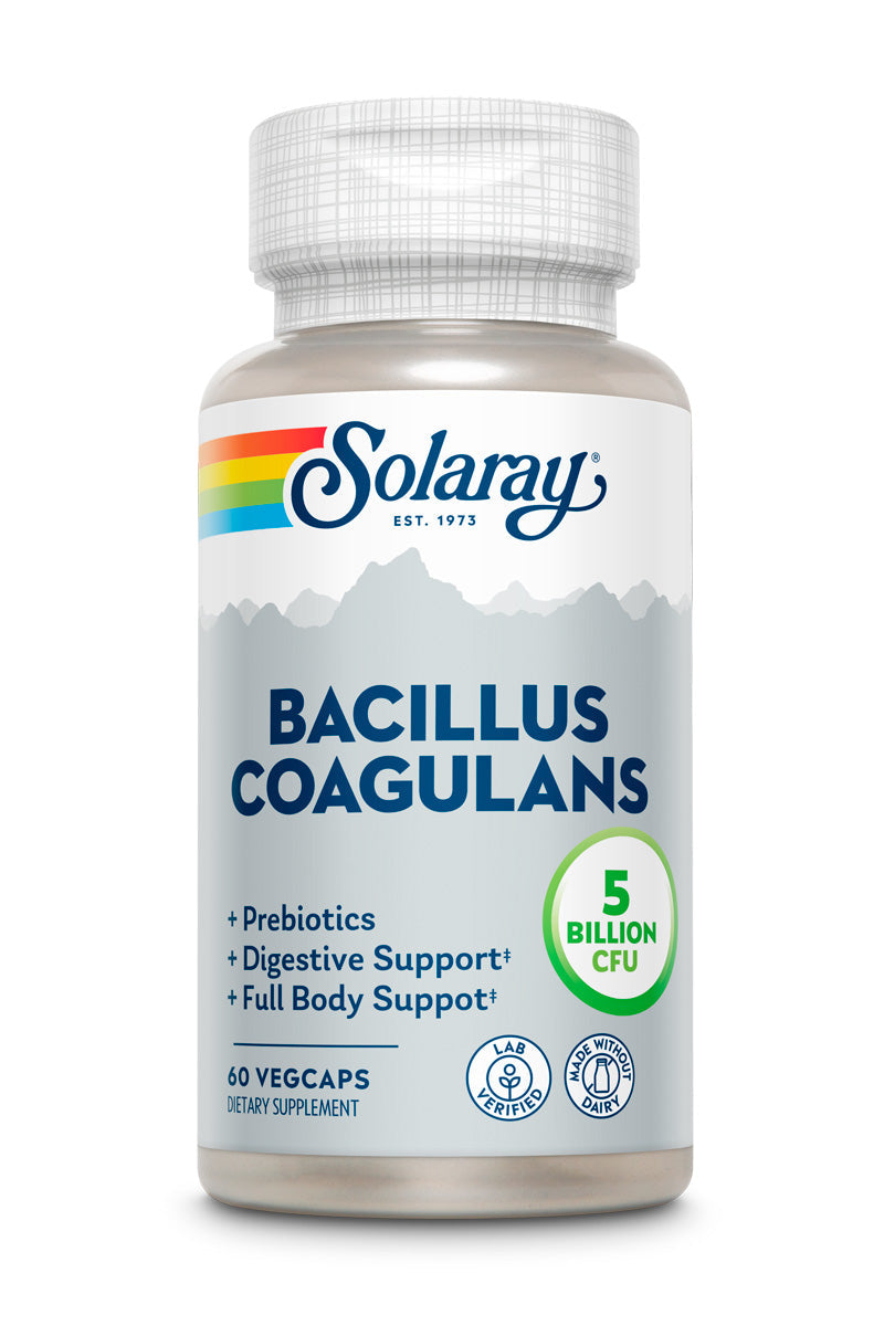 Bacillus Coagulans