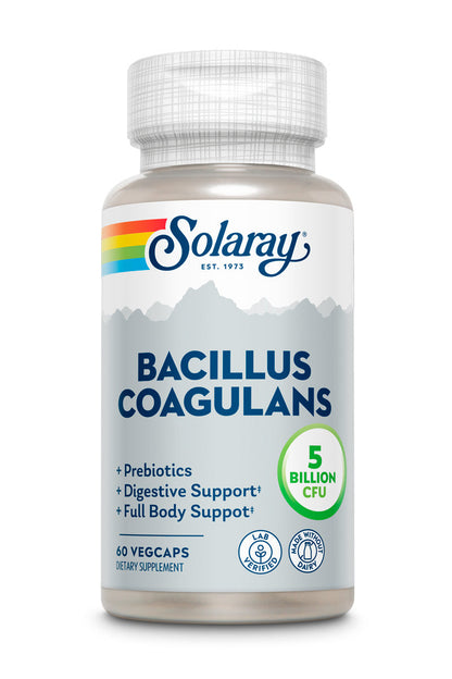 Bacillus Coagulans